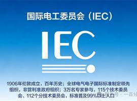 中外标准咨询服务