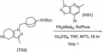 1680245672794772.jpg 一百分图5.jpg