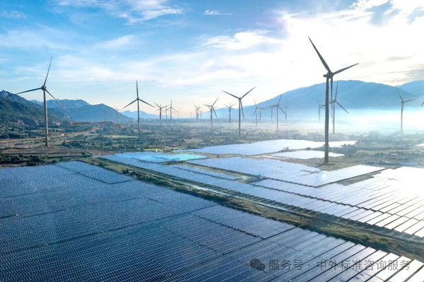1790154580556477.jpg 33.jpg